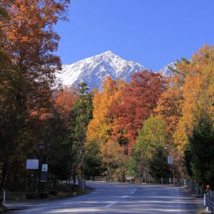 【11月】紅葉と白馬鑓ヶ岳