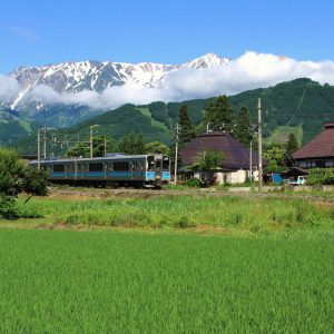 【7月】大糸線ローカル列車と田園風景