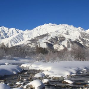 【2月】厳冬の松川からの八方尾根