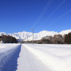 【2月】雪道と北アルプス